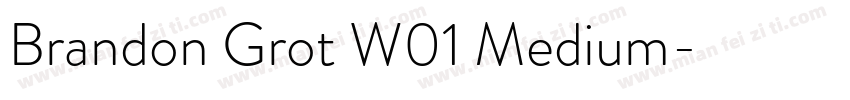 Brandon Grot W01 Medium字体转换